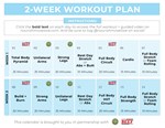 2-Week Workout Challenge 2024