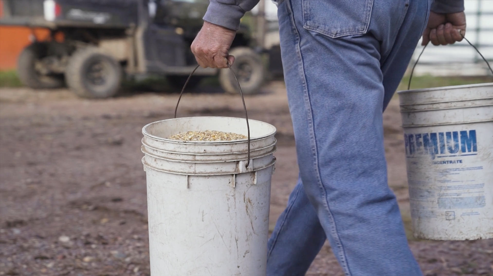 feed-bucket.png